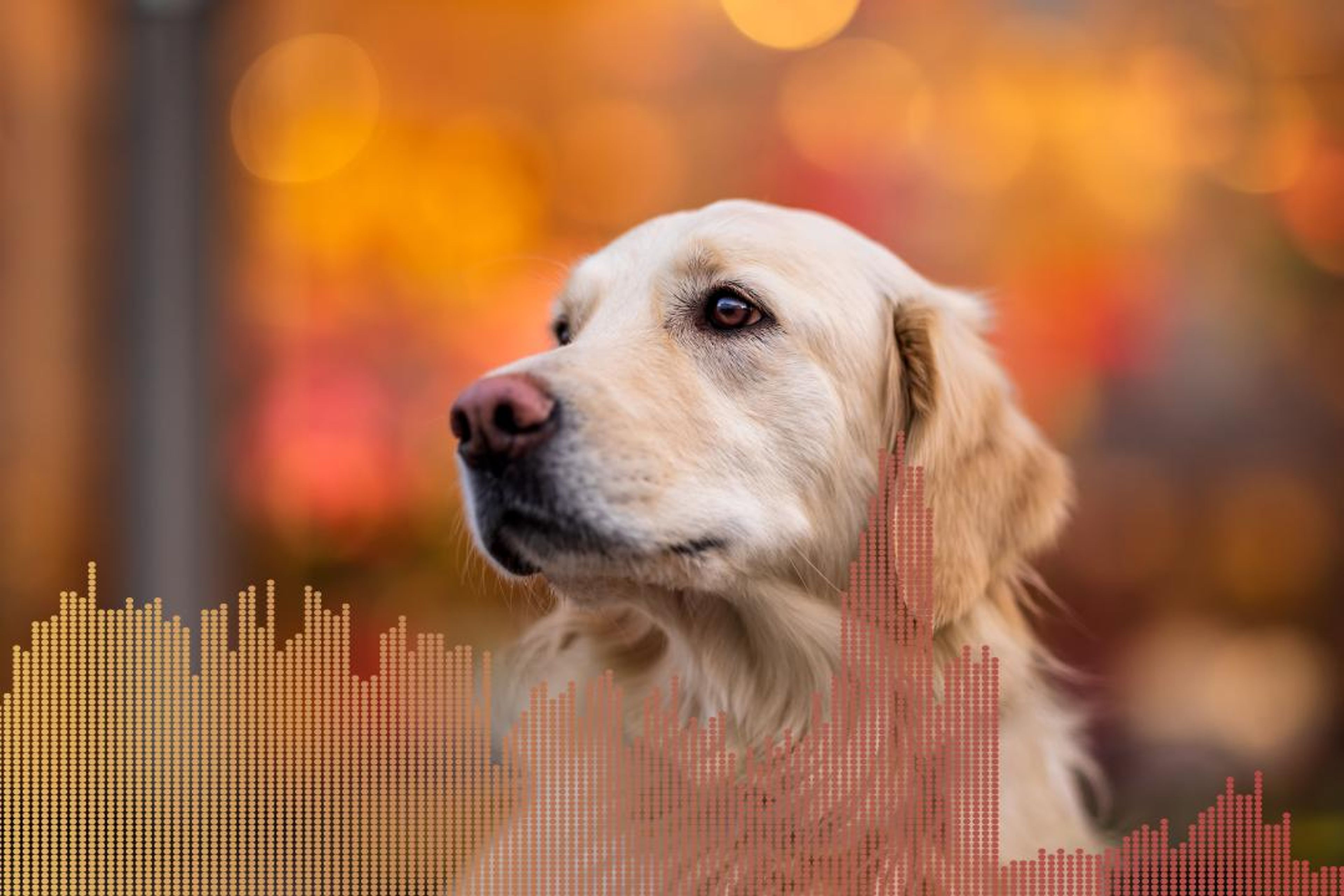 WaveVisual sound wave art template: Template